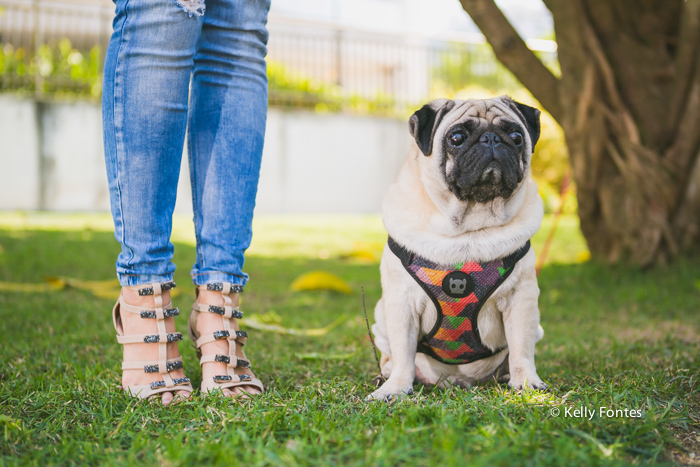 Fotos look do dia RJ sandalia moda wfashionista blogueiras por Kelly Fontes cachorro cao sapato alto e jeans