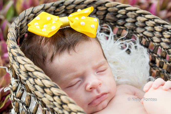 Fotografia Newborn RJ Recém Nascido Bebê laço amarelo bolinhas brancas na cabeça dentro cesta dormindo por Kelly Fontes