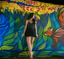 Book 15 anos RJ