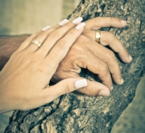 (C)2010 Kelly Fontes