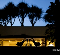 (C)2012 Kelly Fontes