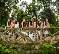 Book 15 anos RJ