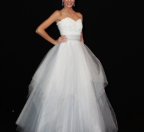 (C)2011 Kelly Fontes