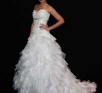 (C)2011 Kelly Fontes